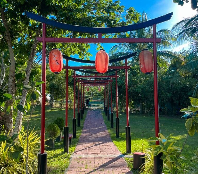 Osaka Farm Amadeo Cavite: Hidden Japanese-Inspired Café Near Tagaytay