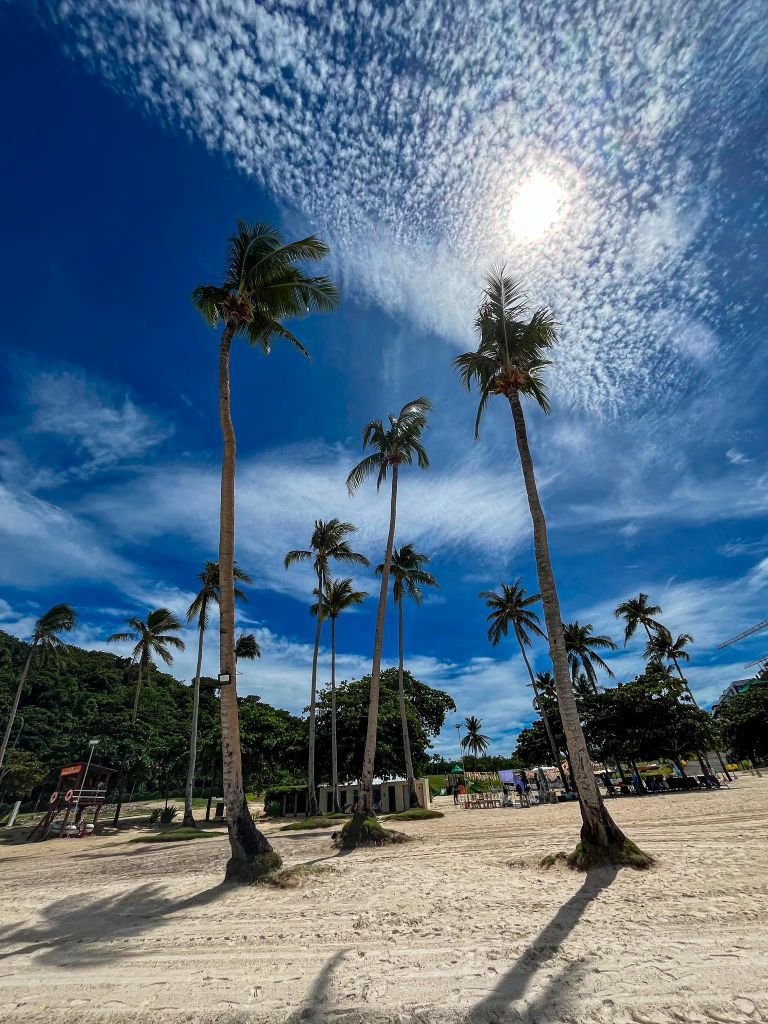 Newcoast Beach Boracay - coconut trees and chairs