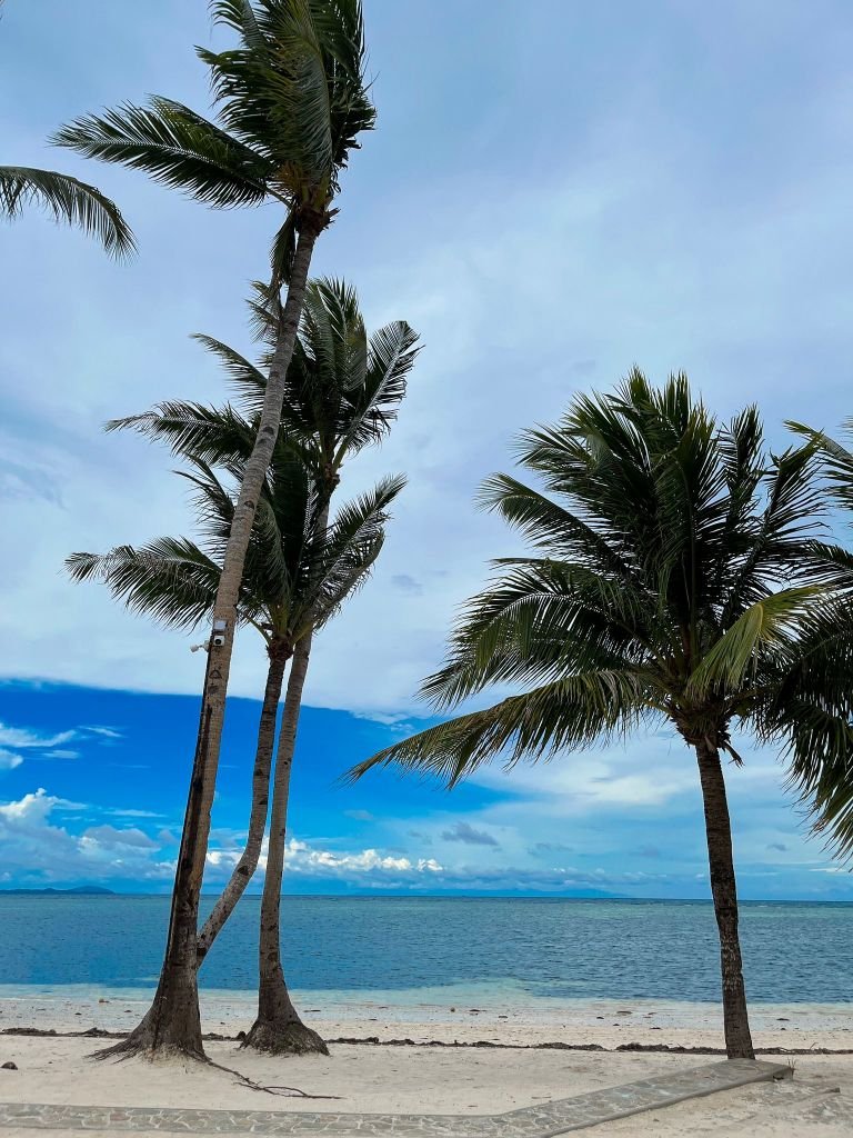 Bulabog Beach - Coconut Trees