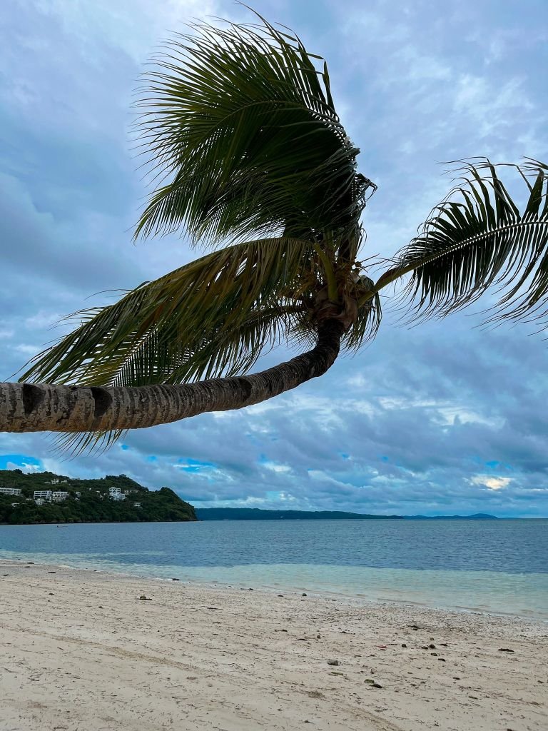 Bulabog Beach - Leaning Coconut
