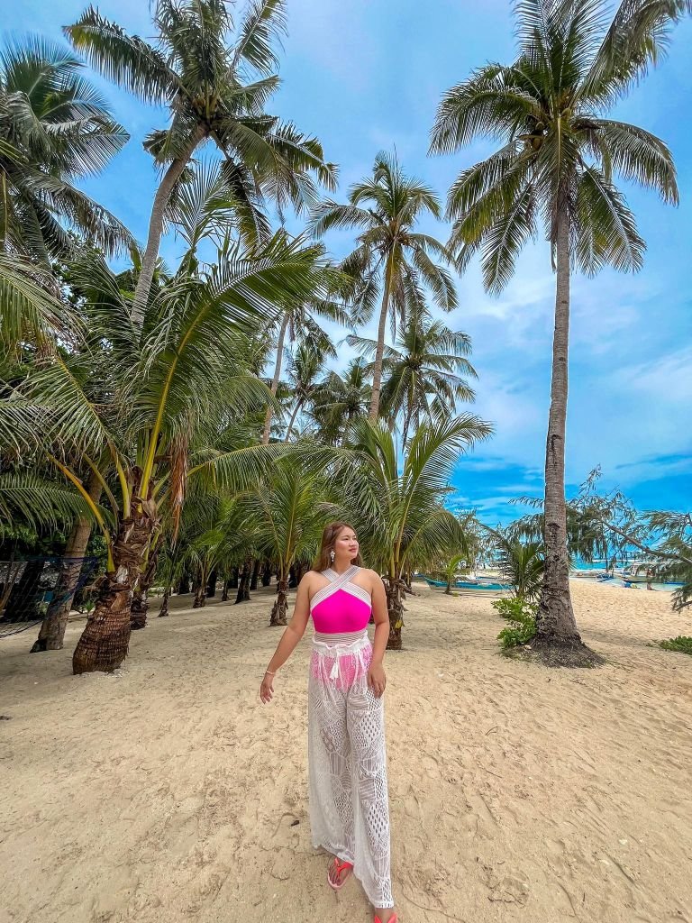 Puka Beach - Coconut Trees Background