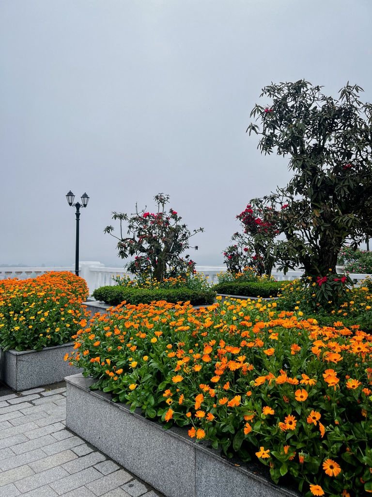 Silk Path Grand Sapa Hotel - Garden View 2