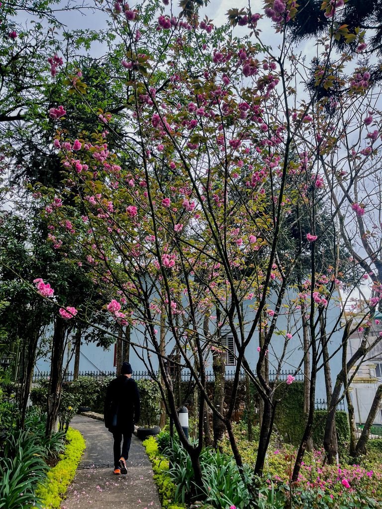 Silk Path Grand Sapa Hotel - Outside View 10