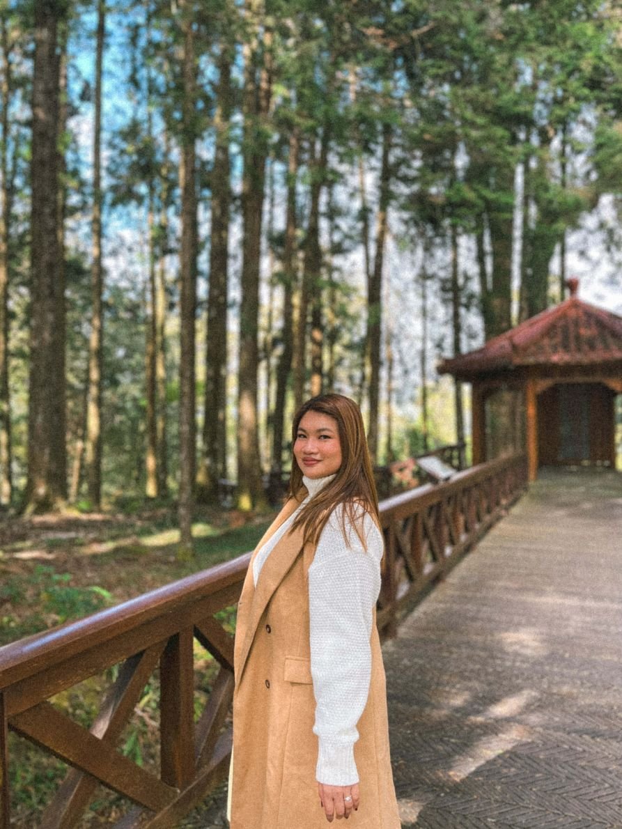 Alishan National Forest Recreation Area - Woods