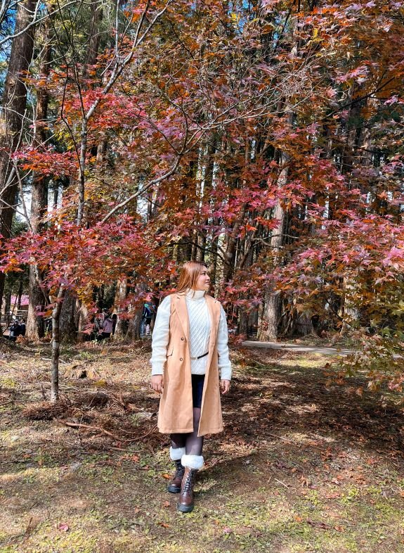 Alishan National Forest Recreation Area - Autumn Leaves - Taiwan