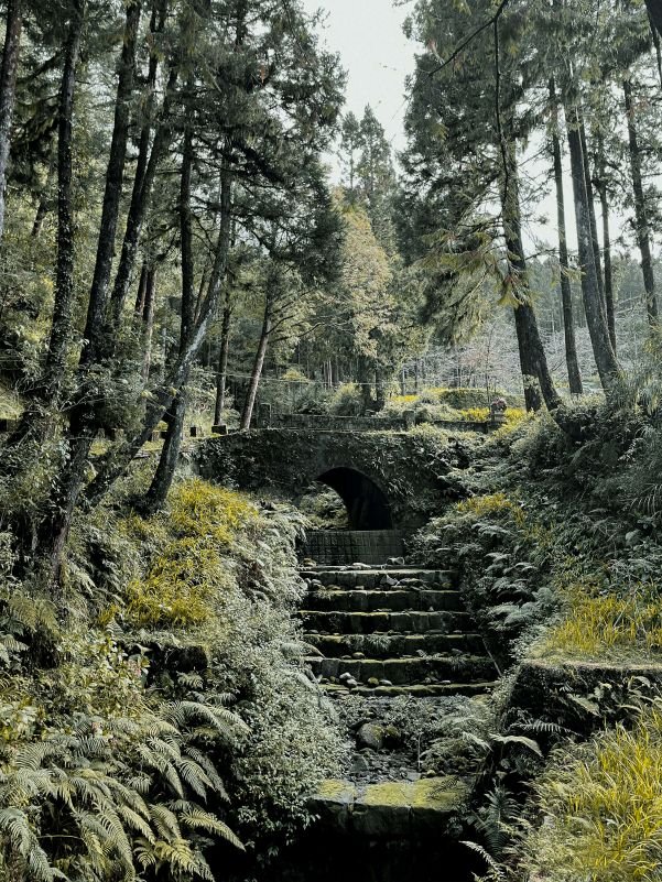 Alishan National Forest Recreation Area - Staircase - Taiwan