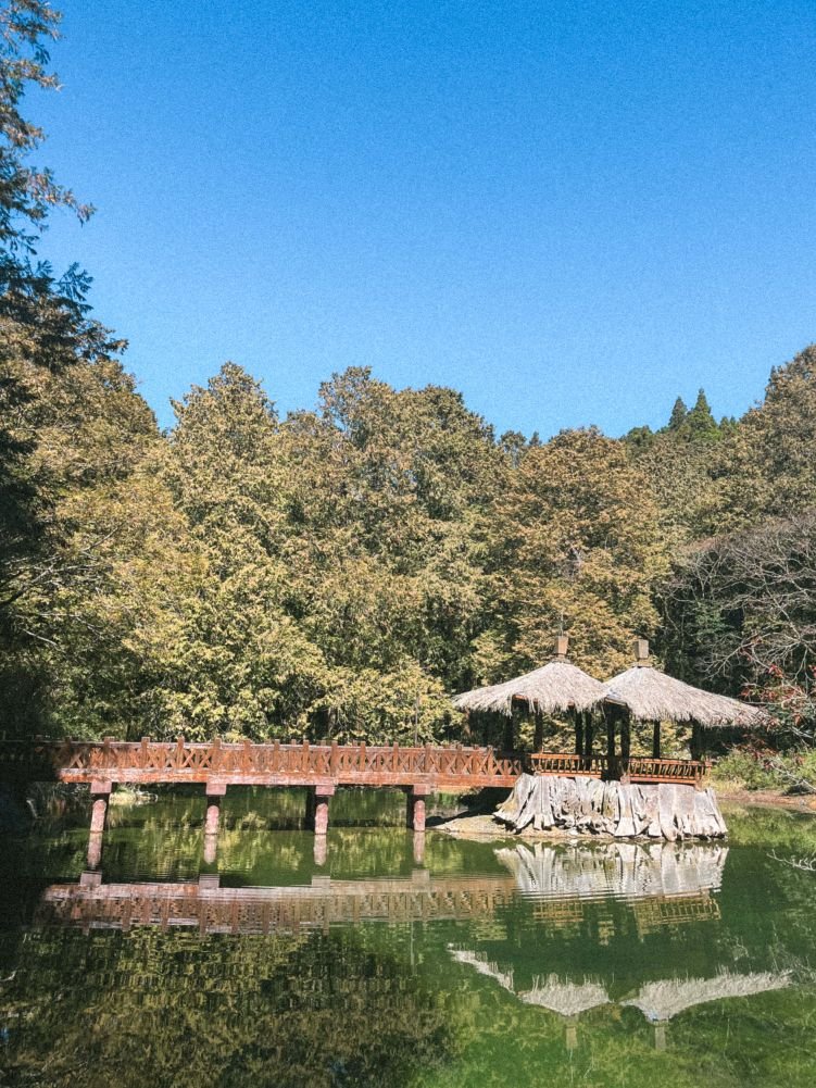 Alishan National Forest Recreation Area - Sister Pond
