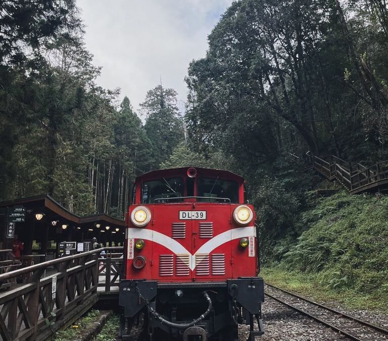 Alishan 1-Day Trip DIY Guide (From Chiayi): How to Go, Costs and Must-See Spots