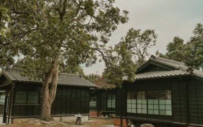 Chiayi Travel: Our Ultimate 3D2N Itinerary + Alishan