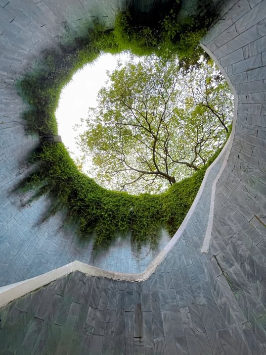Fort Canning Park Singapore - Famous Tree Tunnel 1