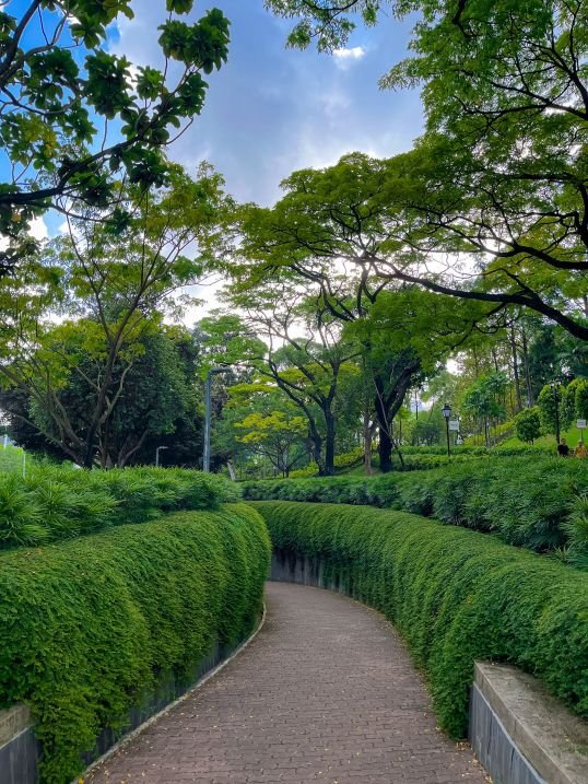 Fort Canning Park Singapore - Tree Tunnel Entrance 1