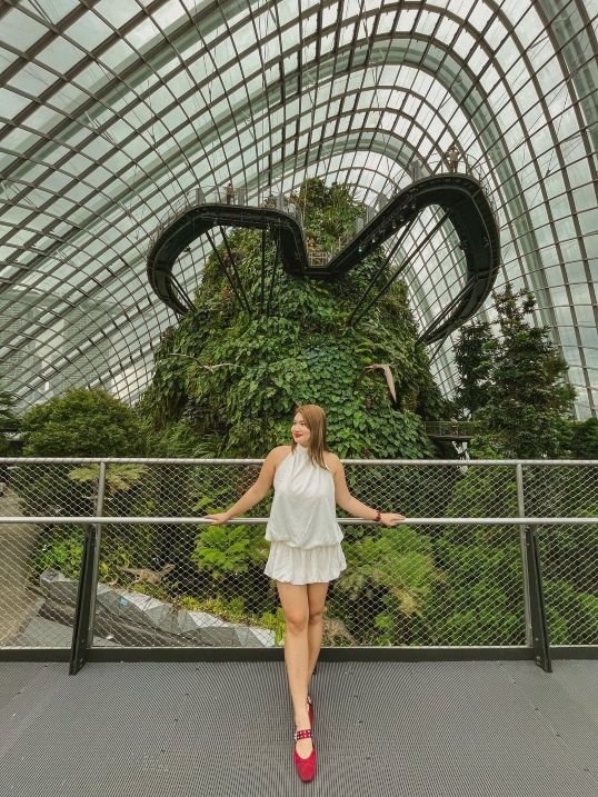 Singapore - Gardens By the Bay - Cloud Forest 1