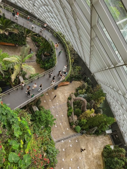 Singapore - Gardens By the Bay - Cloud Forest 2