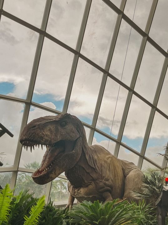 Singapore - Gardens By the Bay - Cloud Forest - Trex 1