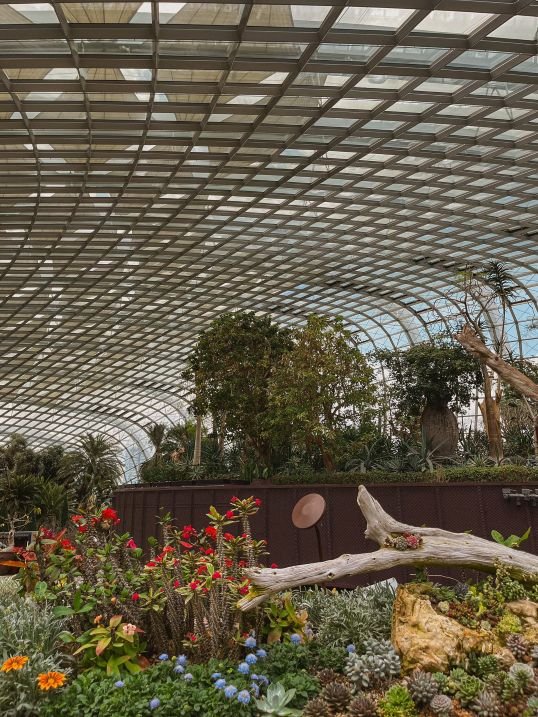 Singapore - Gardens By the Bay - Flower Dome 1