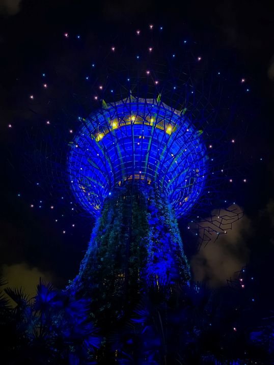 Singapore - Gardens By the Bay - Garden Rhapsody 1