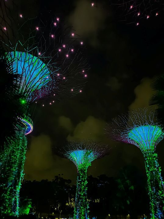 Singapore - Gardens By the Bay - Garden Rhapsody 2