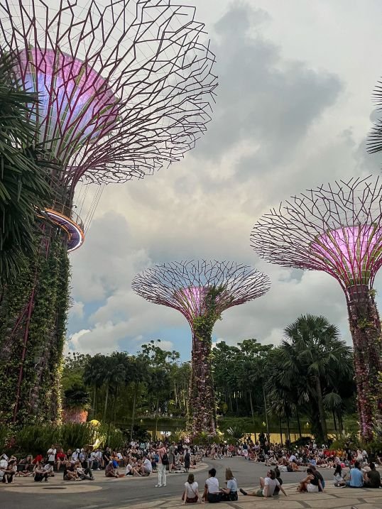 Singapore - Gardens By the Bay - Supertree Groves 1