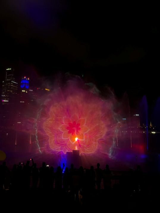 Marina Bay Sands Singapore - View at Night 1