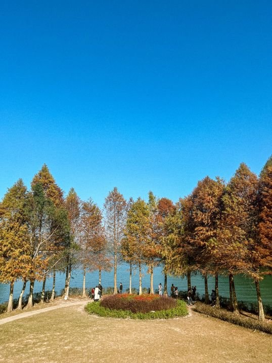 Sun Moon Lake, Taiwan - Biking - Cypress Tree Park 5