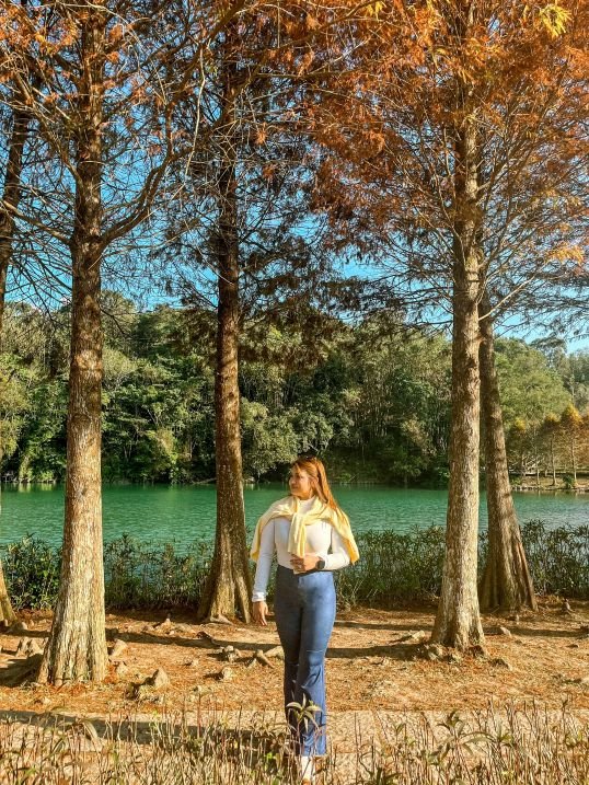 Sun Moon Lake, Taiwan - Biking - Cypress Tree Park 3