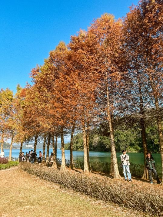 Sun Moon Lake, Taiwan - Biking - Cypress Tree Park 2